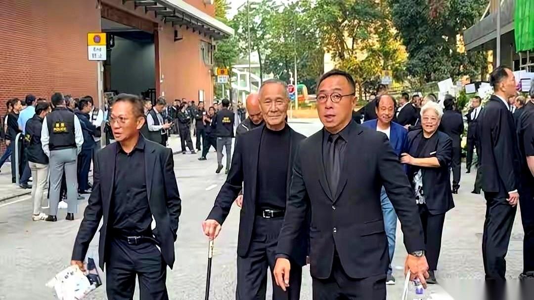 前几天向华炎的追悼会，听人说，场面比电影还夸张。门口警灯无声地闪，上百号警察把