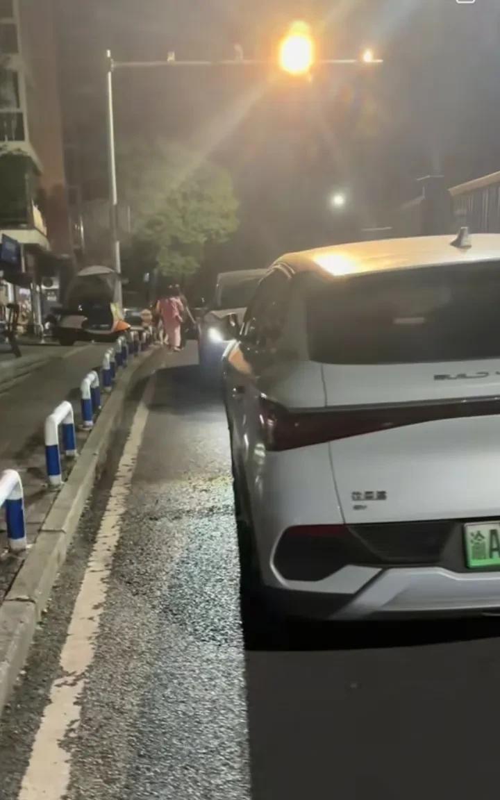 7月3日晚，重庆一网友在志龙白市苑附近与一辆逆行的白色比亚迪会车，比亚迪女司机说