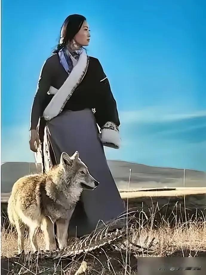 3295万票房，这个女人全浪费了。导演李微漪把重返狼群赚的钱，一笔笔都投回