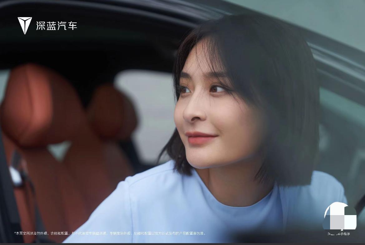 2025年1-11月深蓝汽车全系车型累计销量（数据来源：易车网，截至20