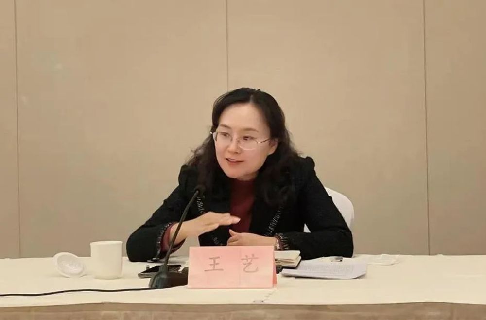 团中央书记处书记王艺, 有新职
