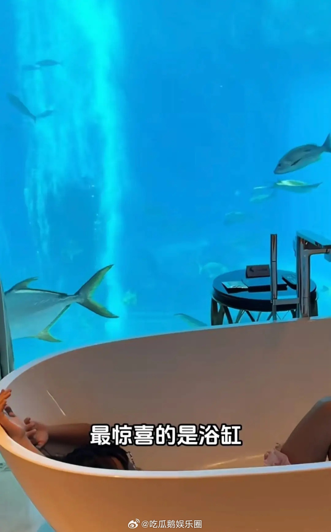 伊能静带公婆女儿探班秦昊，住10万一晚海底套房，很会讨长辈欢心​​​