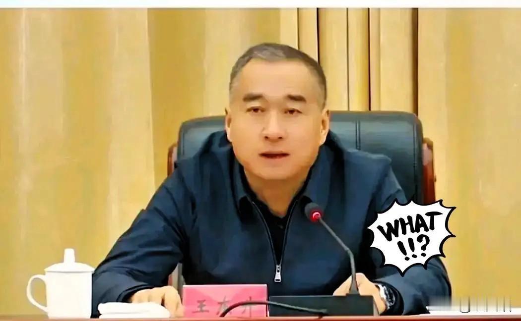 朋友圈里全是问号，王东升被查这事儿，真让人有点缓不过神。那个天天顶着安全帽跑