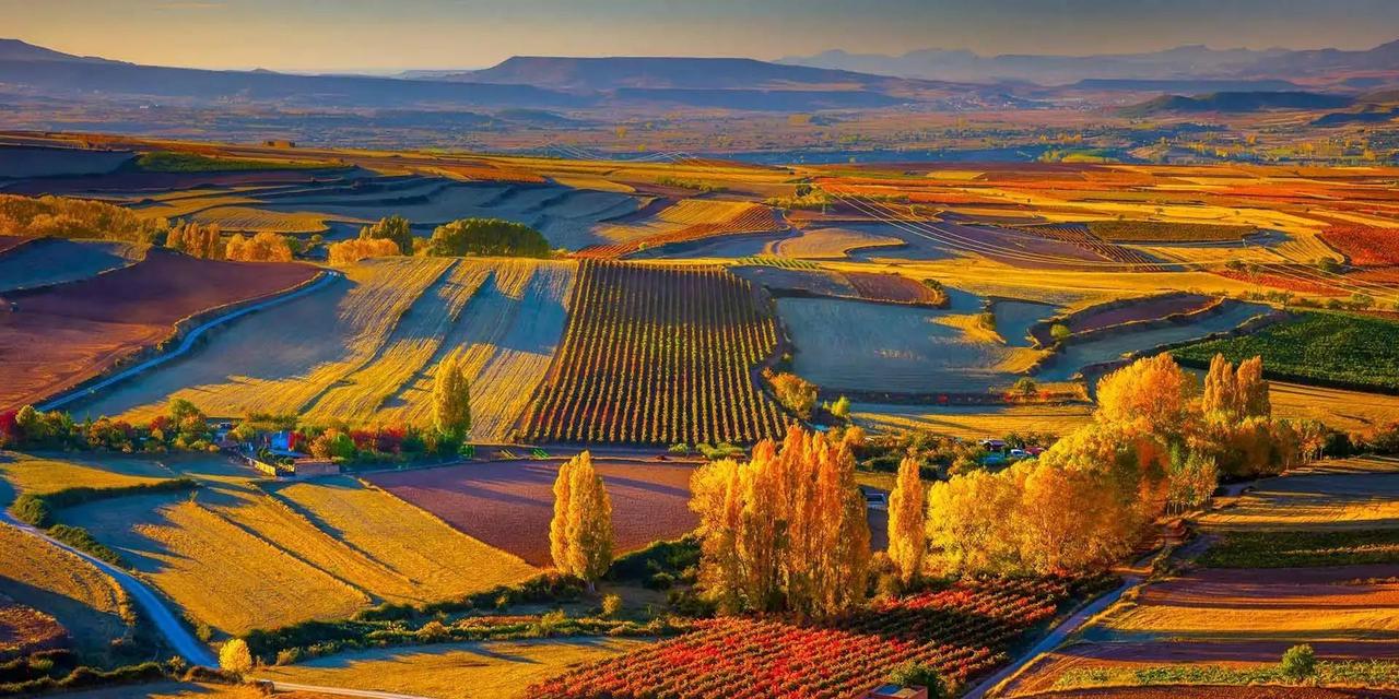 最近属马的朋友们，是不是感觉心里有点小波澜？别慌，这是正常现象。可能你内心的小情