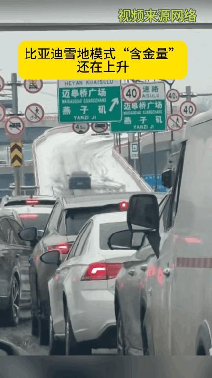 比亚迪汉：“你们咋回事？为什么都停那不走了呢？”众车：“没事，就是单纯想看你表