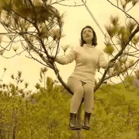 惊呆所有人：女子公园爬松树拍视频，摇晃间悲剧瞬间发生，网友：活该！惊呆所有