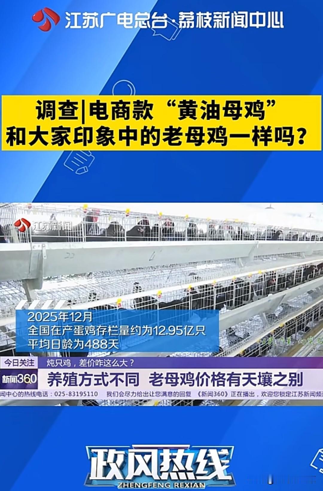 终于有官方来解释老母鸡之争，所谓的淘汰鸡就是老母鸡，但是老母鸡不是不能食用，它的