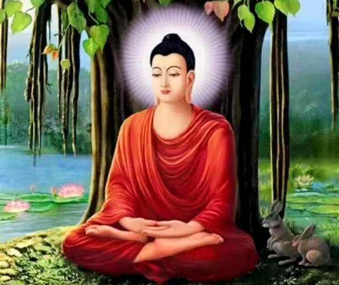 佛说:种善因,结善缘,得善果,种恶因,结恶缘,得恶果.