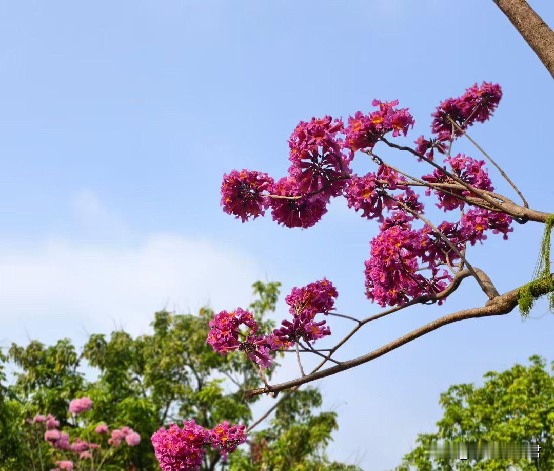 谈了8年的女友，如今要带着两个孩子和前夫重新和好了，大哥想让女友付出代价，真是个