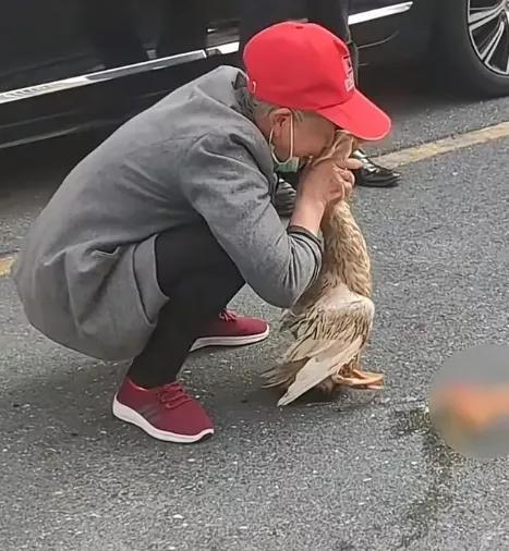 永远不要低估一件东西对一个人内心寄托的重要性，哪怕它是个小动物！七十多岁的张