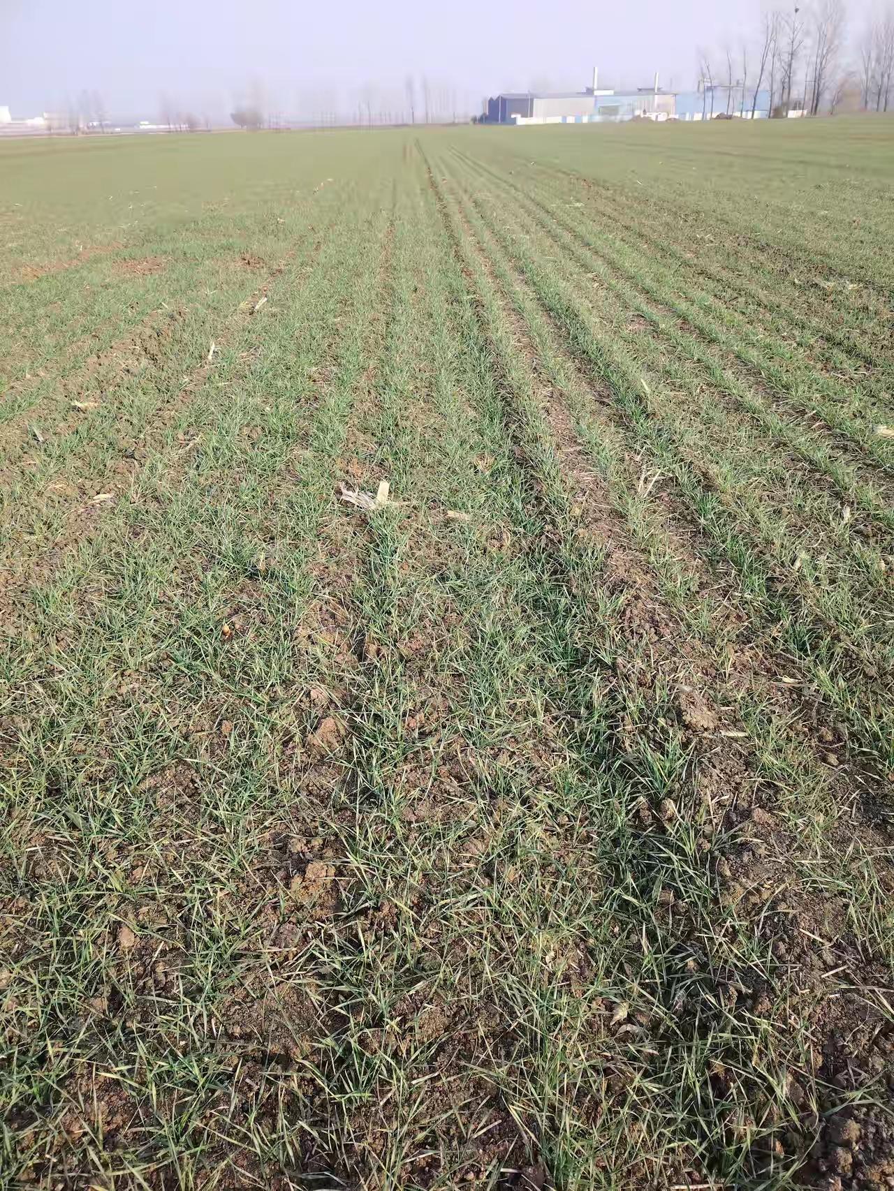 土地如果都交给大包户，农村的老百姓以后干什么大包地户承包土地，因为投入巨大，而