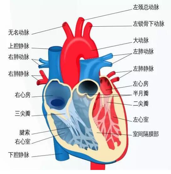 又一个创业公司领导人猝死, 公司上市不到1年半!