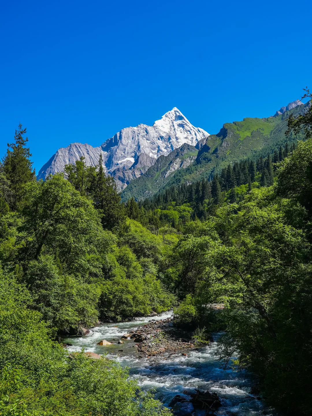 去了无数次四姑娘山，原来这条沟才是夯！