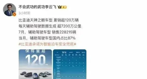 比亚迪智驾不行？这脸打得有点响。7月数据出来了，每卖出去100台带智驾的车，8
