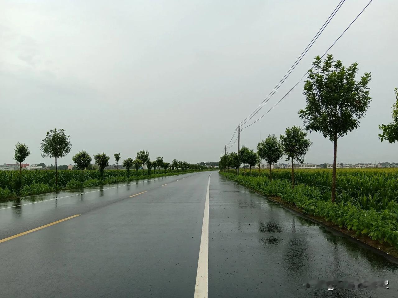 邓州大暑天下了一场大暴雨，部分乡镇已经沟满河平，老百姓终于不用浇地了。一个月以
