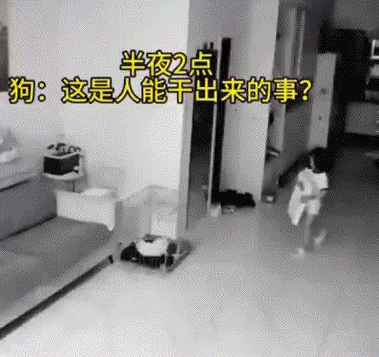 笑不活。一小女孩半夜起床来到客厅，突发奇想的她直接来到狗笼前，把狗拽出后自己则睡