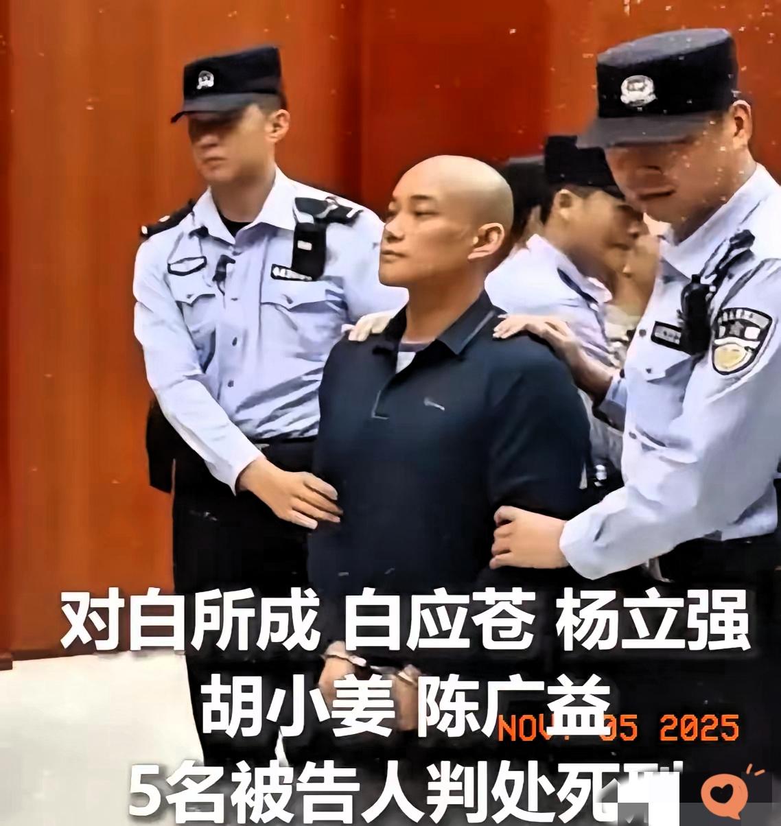 白应苍被判死刑还昂首挺胸？别被他那副“不怕死”的样子骗了！他表面毫无悔意，