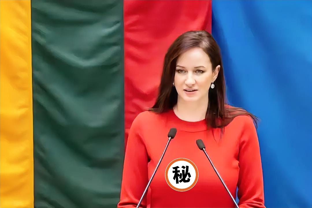 据外媒报道，立陶宛女总理鲁吉涅内近日公开承认：当年允许台当局设立所谓“台湾代表处