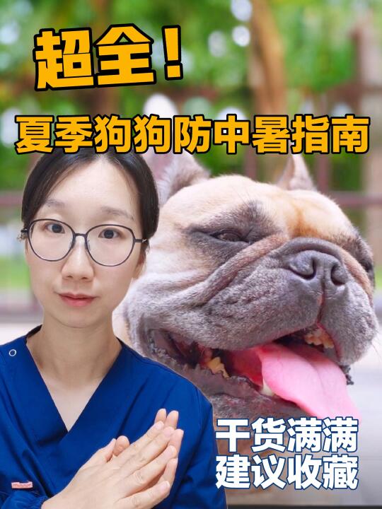 炎炎夏日中暑要狗命！养狗家长必看！