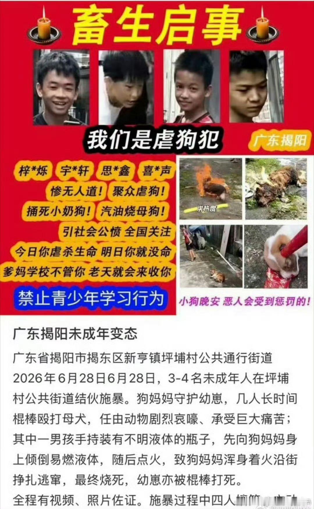 揭阳未成年残忍虐杀狗妈妈一家我前天刚发了条微博，说过，现在不正常的人越来越多。就