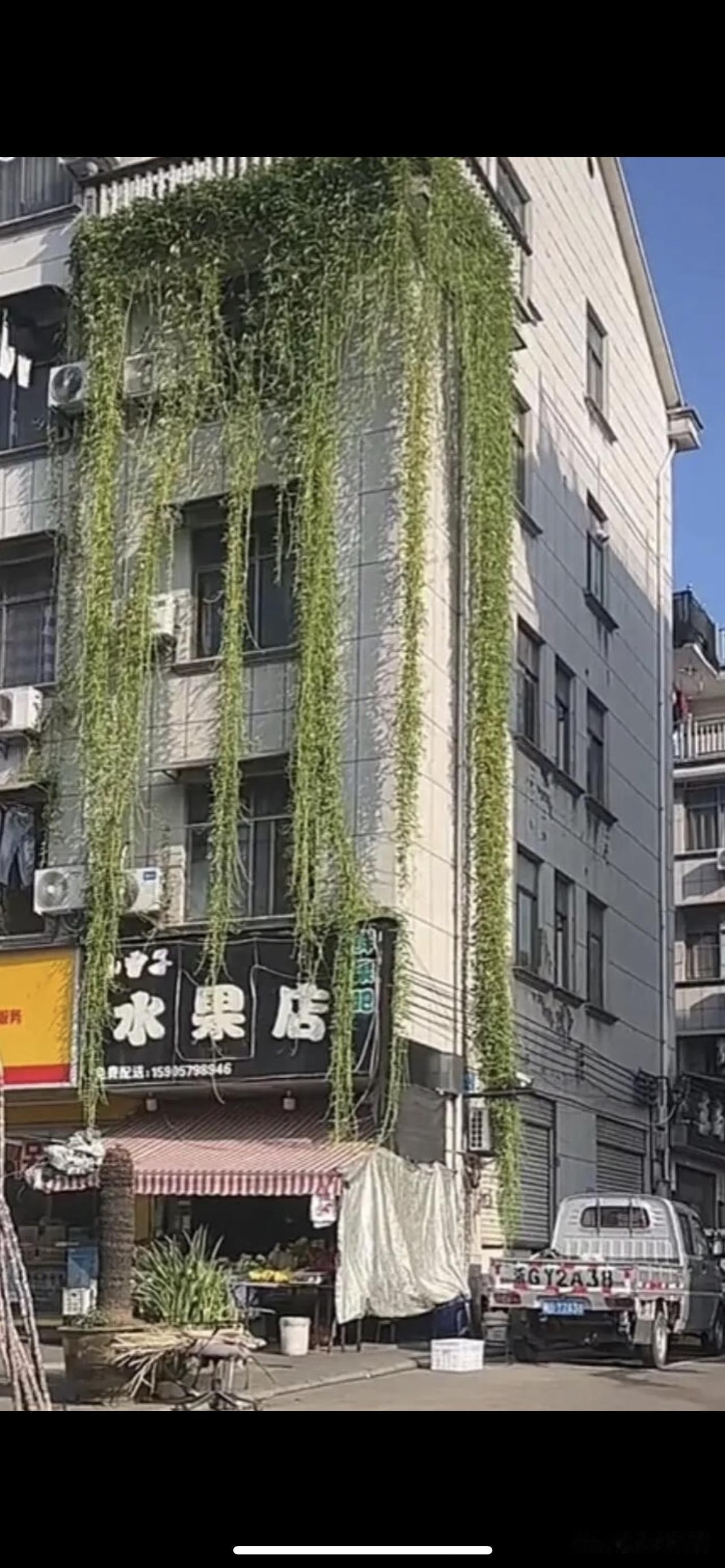 这下可好啦，不仅邻居知道了了，全国人民都知道了。