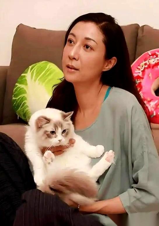 7月15日吴绮莉那场直播，算是把整个华语娱乐圈骗了27年的旧剧本，当着几万人的面