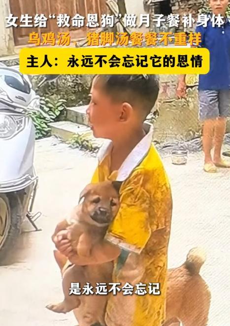 “万物皆有灵！”9月4日，广西贺州，一只家里的土狗在生下了5只小狗后，竟被主人亲