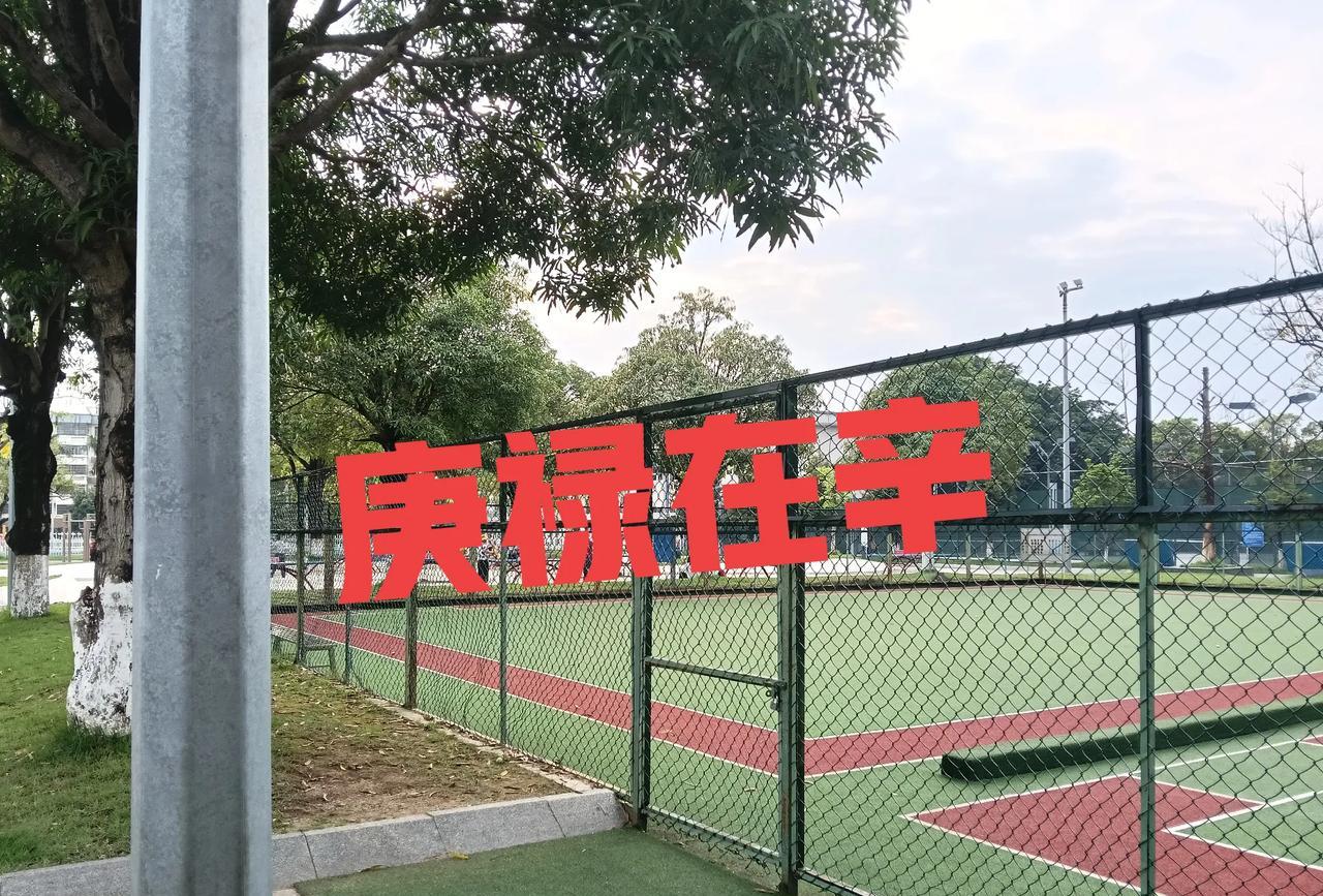 庚禄在申庚为十天干之一，五行属金，象征刚健、变革之力。禄指天干在地支中的临官