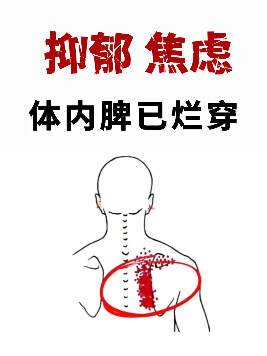 抑郁焦虑，一把柴胡二十多年前的深秋，我独自在古籍书店翻阅泛黄的医典，指尖拂过