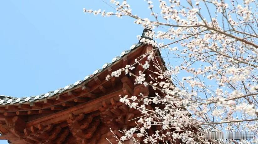 看透不说透，才是最顶级的善良朋友聚餐，酒过三巡，老周端着酒杯站起来，满脸通