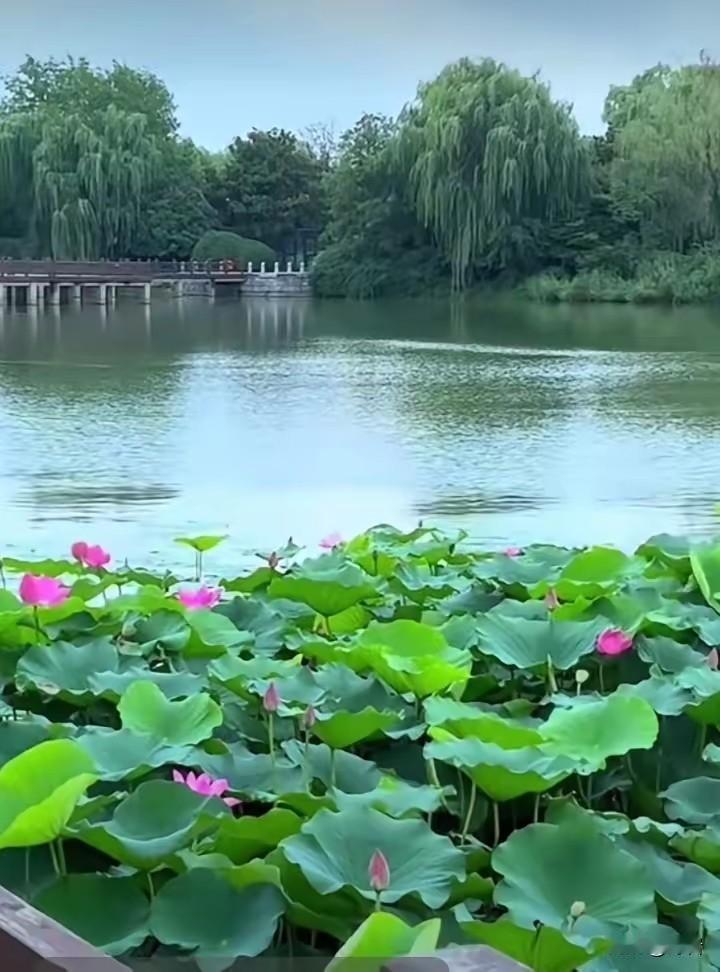 五大长寿运动，走路仅排第五，榜首意想不到1. 榜首：腹式呼吸日常随时随地