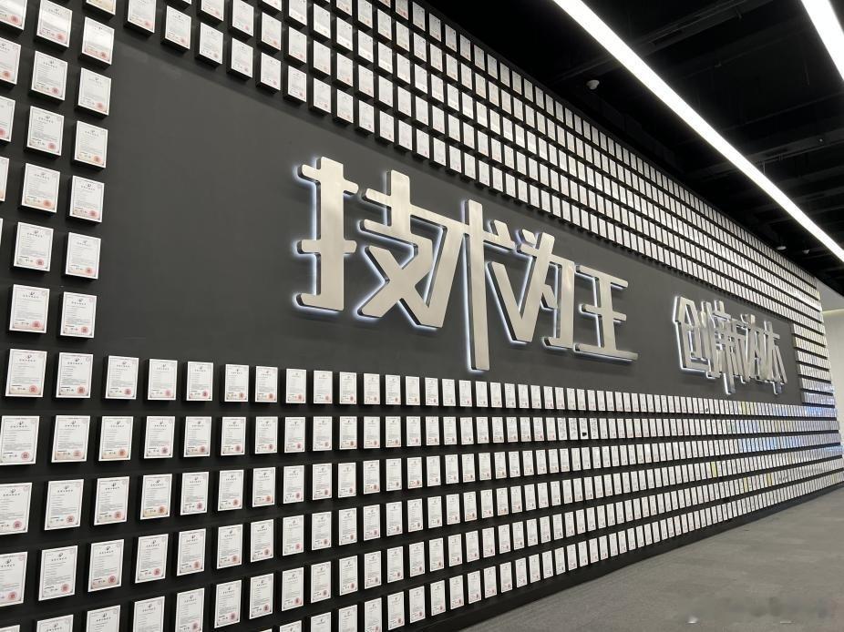 比亚迪全能王者实至名归！在新能源赛道，比亚迪成绩斐然，2025年1-11