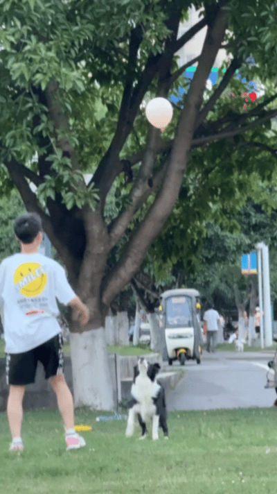 原来世界也能这么美好🙌​​​