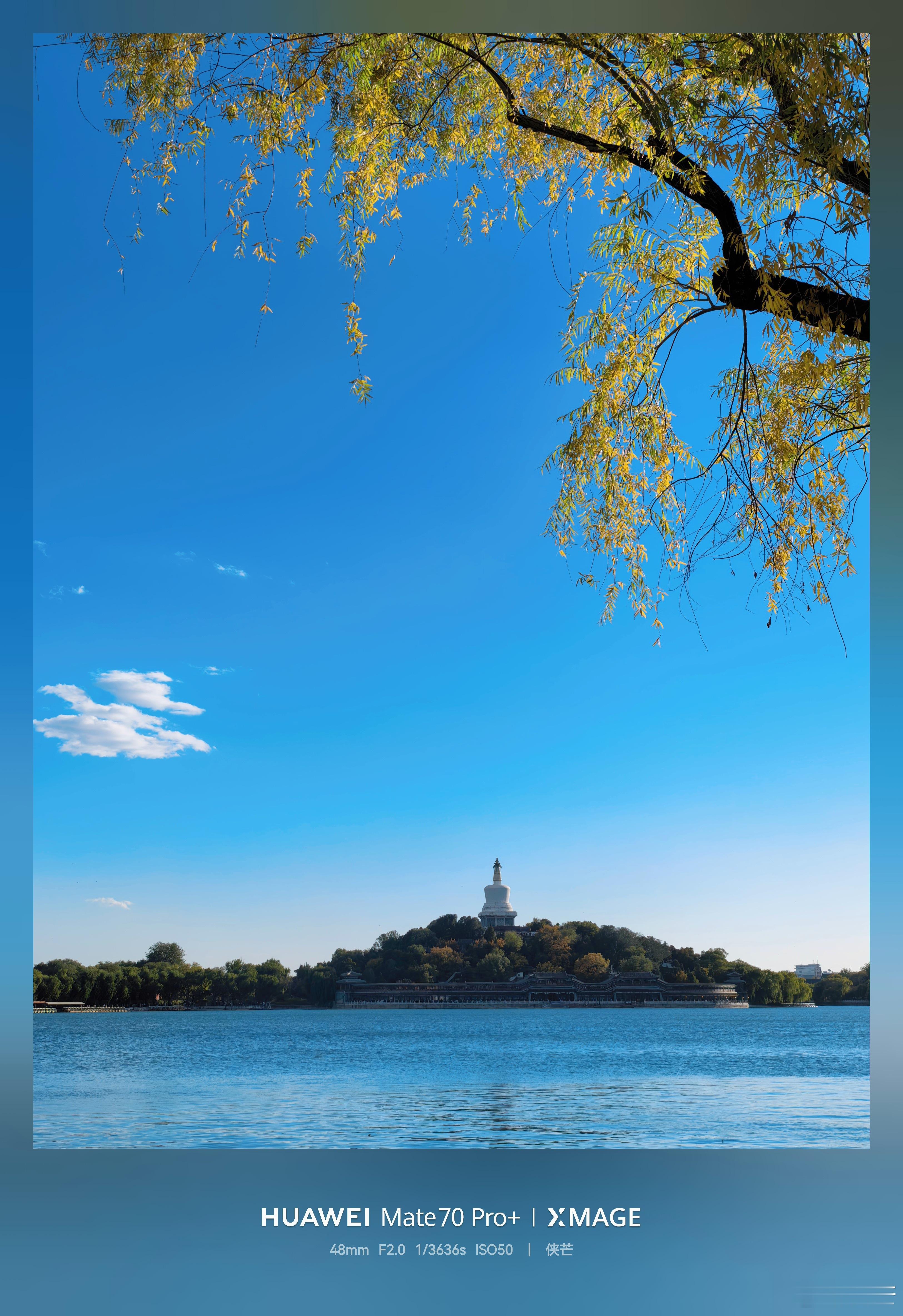 北海公园秋色        秋影摇金，北海如画——白塔湖畔的深秋诗境。     