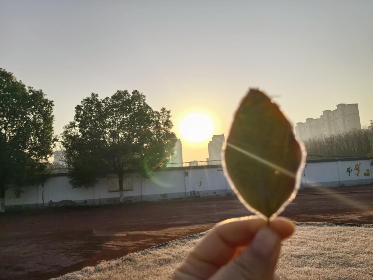 莎莎和大头不参加多哈比赛，不但门票暴跌，而且好多人都不观看比赛了只是没想