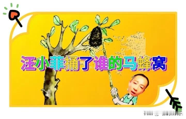 汪小菲的清醒捅了谁的马蜂窝？关于大S两孩子的抚养权问题，前一