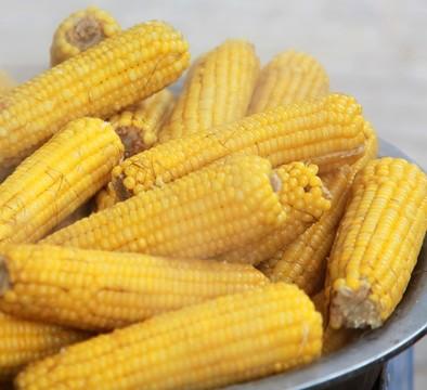玉米具有丰富的营养价值与多种功效作用不起眼的玉米，竟是被无数人低估的“平价