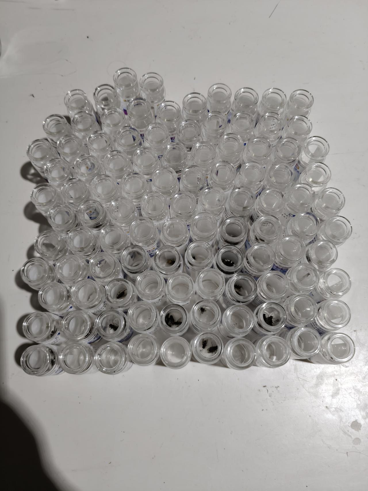 不行了，朋友们，必须要跑路了，打疫苗打到怀疑人生，我是什么防疫大户嘛？这是什么神