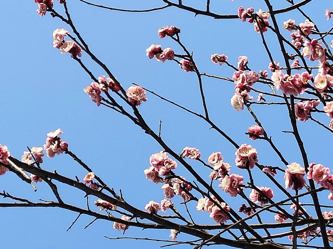 因为更年期，皮肤瘙痒近一年！鱼虾现在基本不吃了!因为每次吃过后感觉皮肤瘙痒加重!