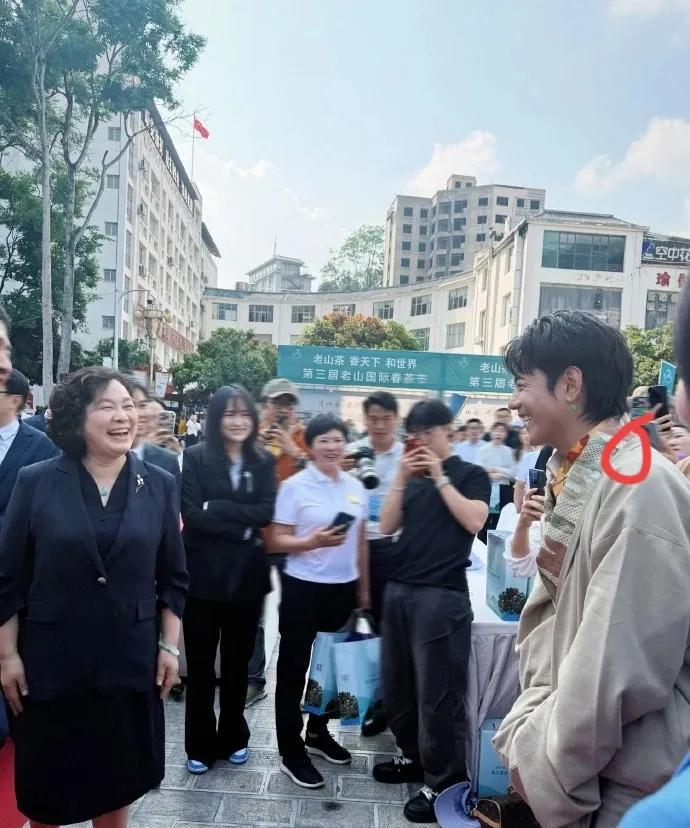 估计华春莹自己也没想到自己严肃了半辈子结果被丁真整破防了。在第三届老山国际春茶