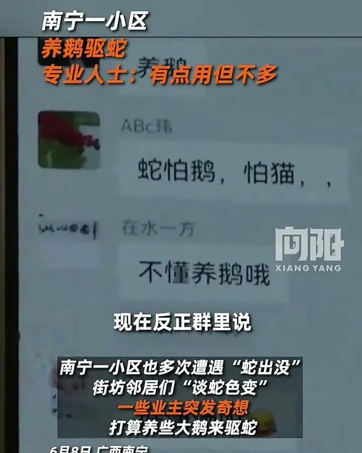 这种驱蛇方式太新奇了！近日，广西南宁一小区内多次发生“蛇出没”事件，吓坏了一众业