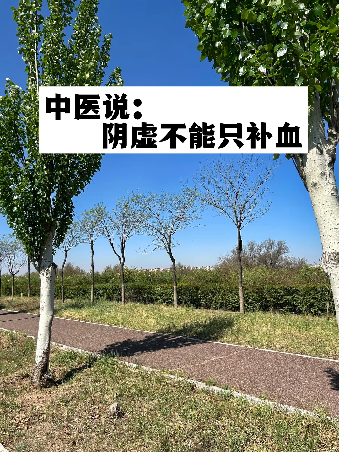 中医说：阴虚不能只补血.