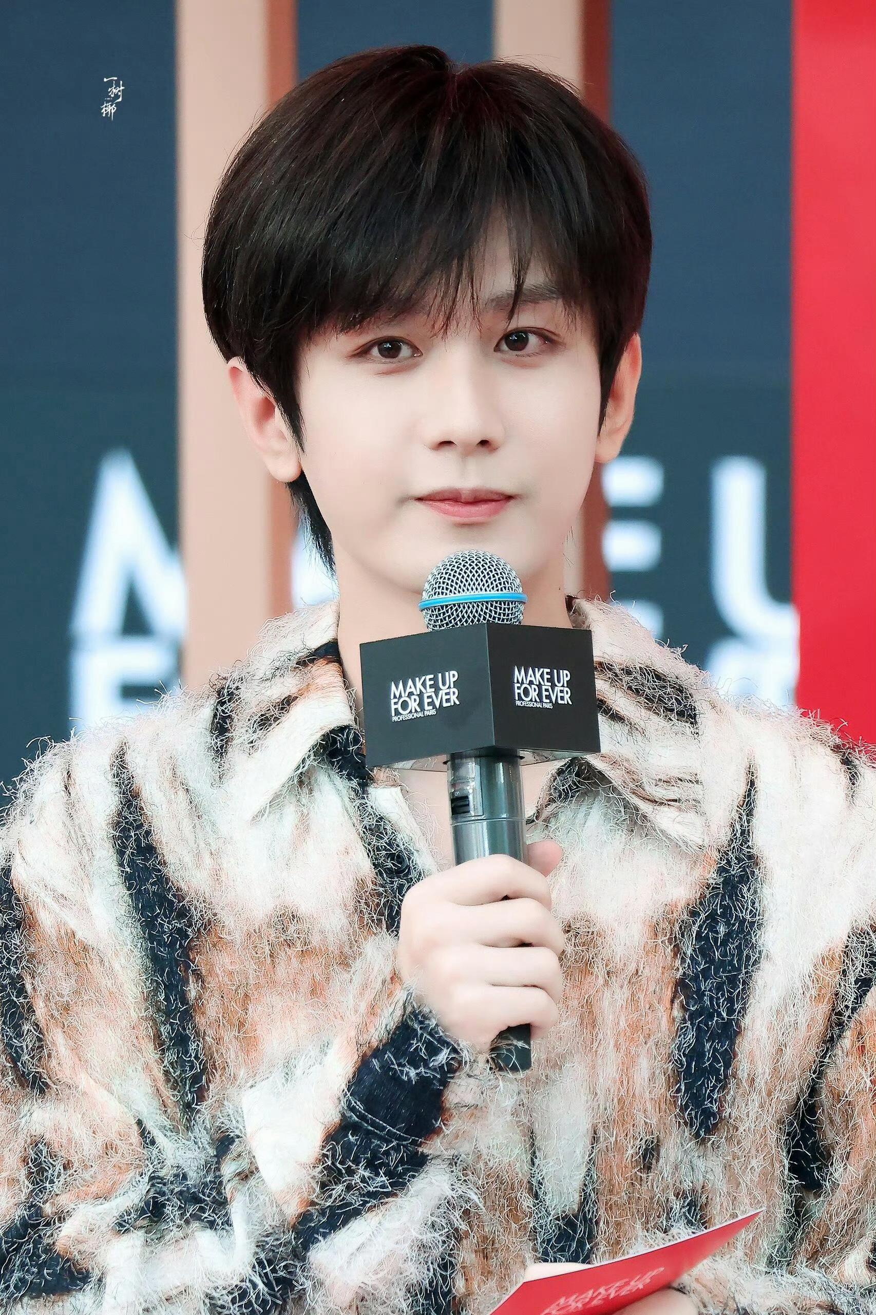 一组温柔又漂亮的小花喵每一眼都令人心动不已💓成毅