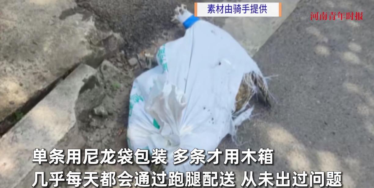 “离了个大谱！”9月4日，广东广州，一跑腿骑手接到了一个订单，竟是将一条鳄鱼送到