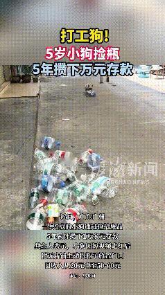 家人们，惊掉下巴了！这年头连狗都比人会搞钱！广州有只5岁小狗，堪称“