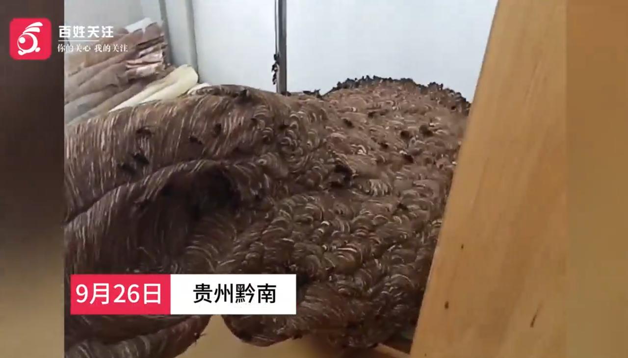 9月28日百姓关注报道，贵州黔南州瓮安县一处小区六楼空置房阳台，出现一个体