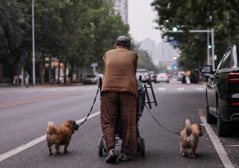 这些知识，全社会要掌握，无远虑必近忧。据联合国人口模型预测，我国人口可能在205
