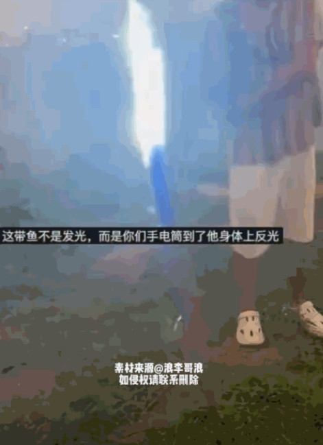 笑麻了！山东，一男子钓到一条亮银色大鱼，不料，拖上岸一看，却被闪得睁不开眼。这鱼