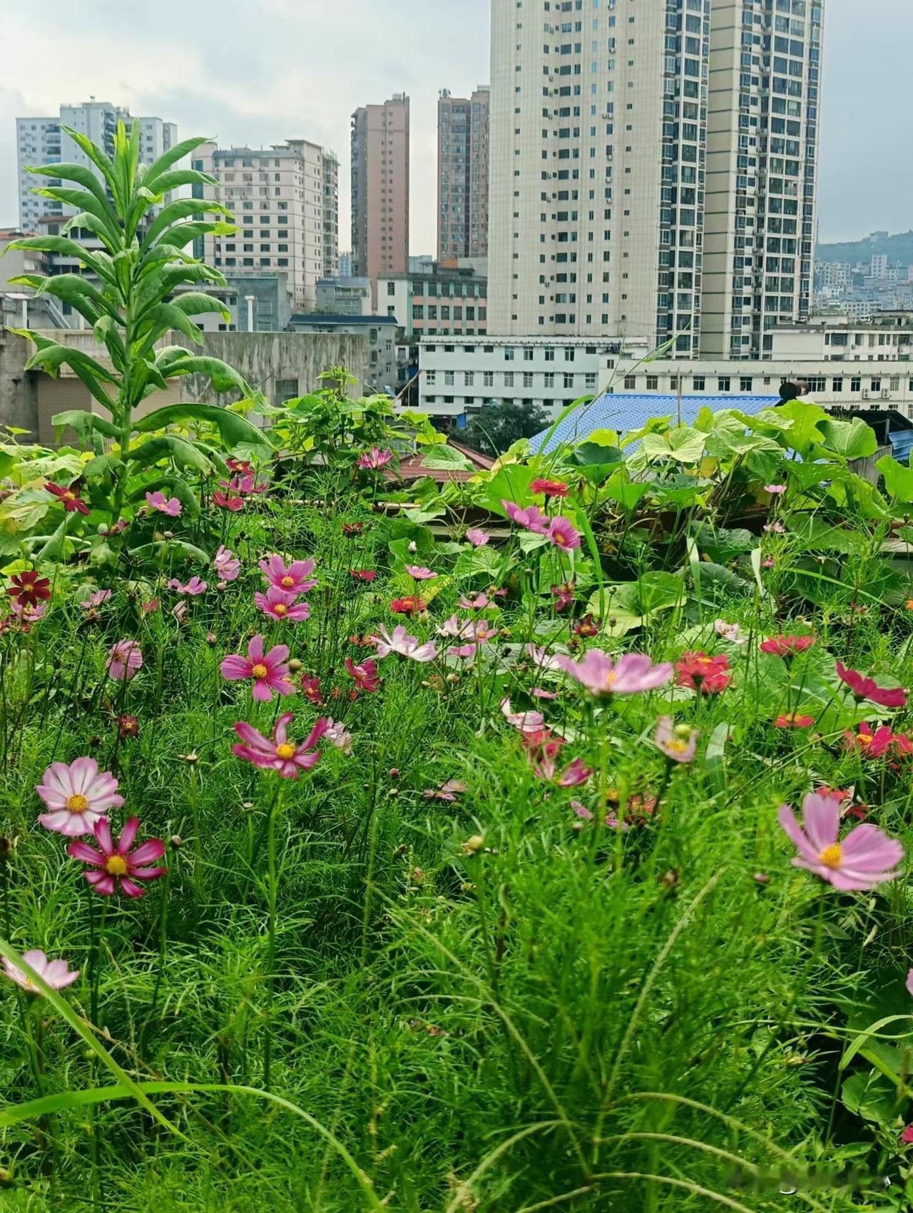 刘震云说：“永远不要瞧不起任何人。一只鸟能吃一万只蚂蚁，一万只蚂蚁却能啃食朽坏