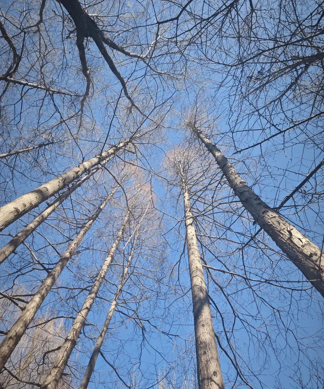 刷到个帖子说“三秒锁定天蝎座”，我差点笑出声。博主列的指标太离谱：瞳孔收缩、